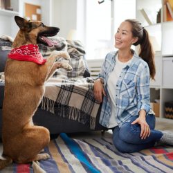 Dog Training & Behavior