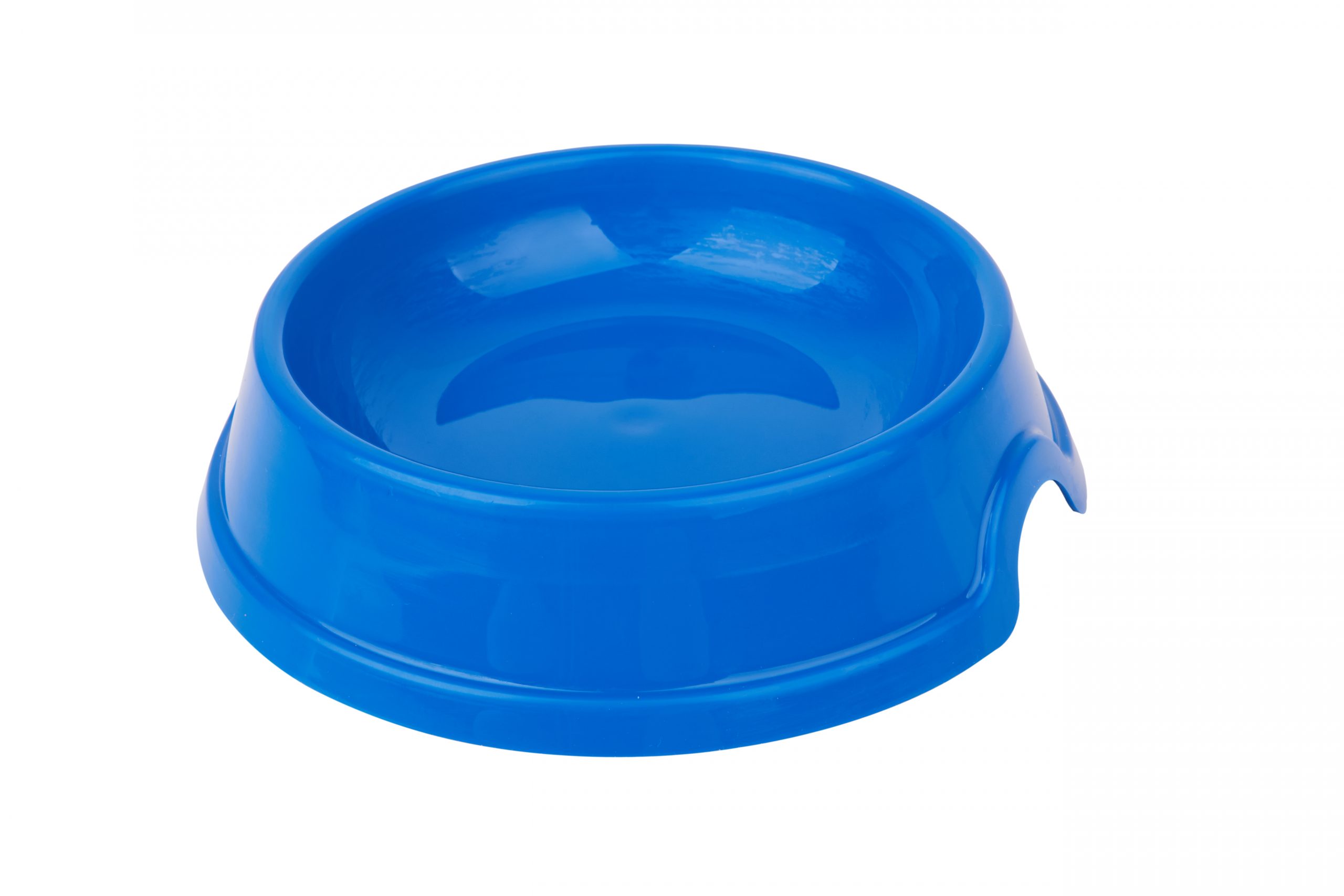 Blue Bowl