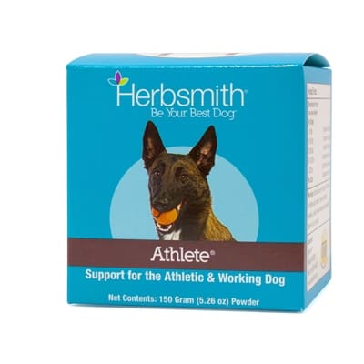 Dog Health