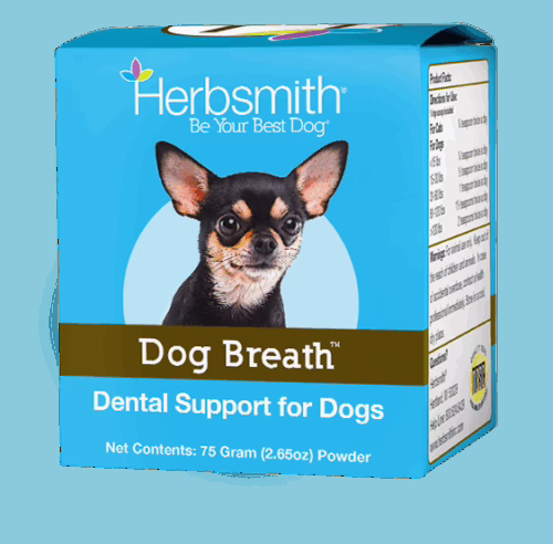 Dog Breath – Dental Support for Dogs