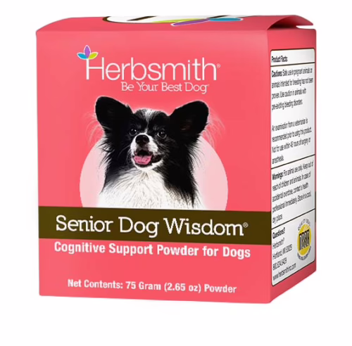 Senior Dog Wisdom: Cognitive Support