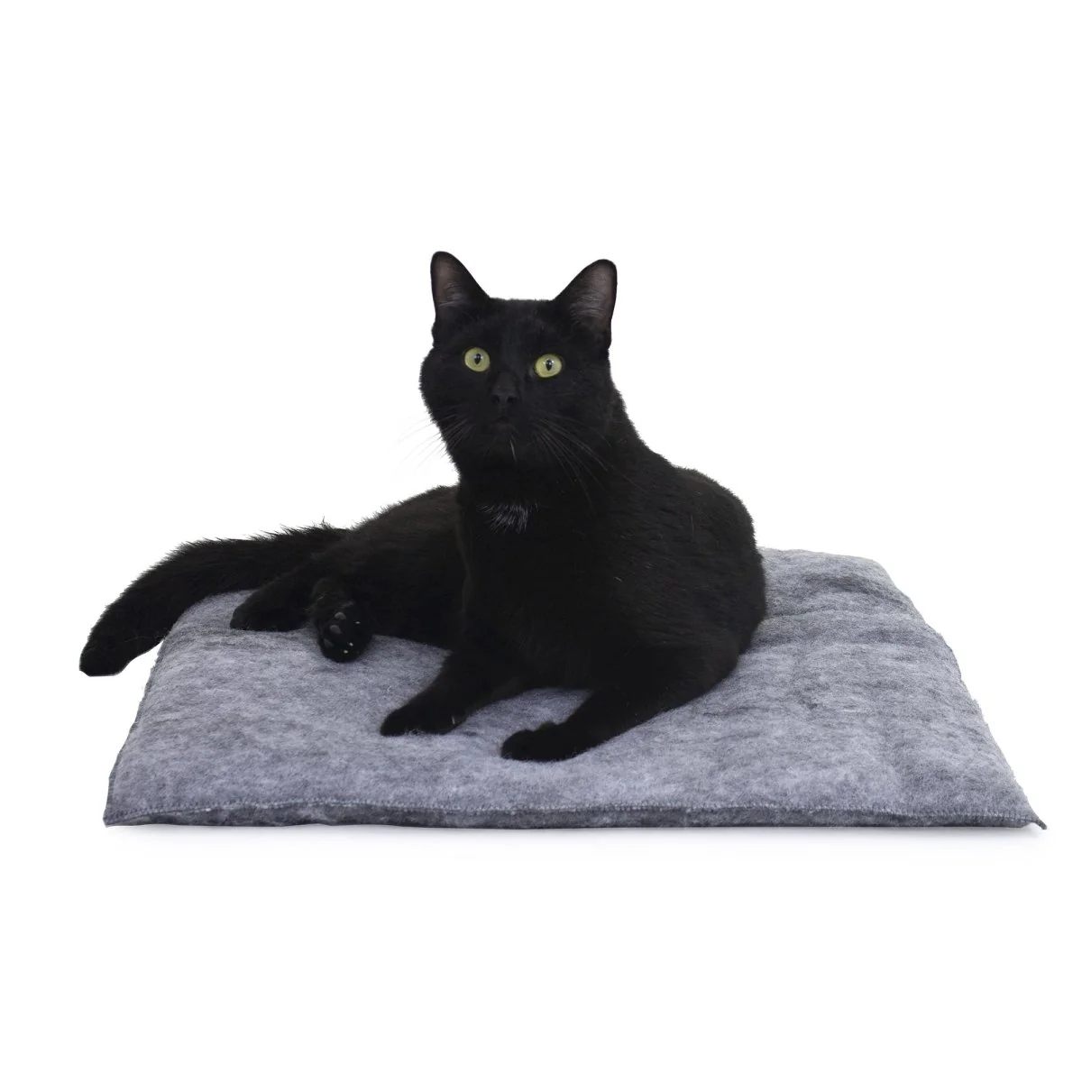 Purr Padd Cat Bed &ndash; Two Pack